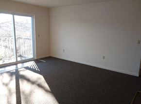 Snow Hill apartment for rent - A room with a carpeted floor and a large window letting in sunlight.