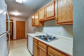 Carey apartment for rent - a kitchen with a sink and cabinets and a refrigerator