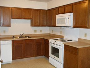 Fowlerville apartment for rent - a kitchen with a stove microwave and sink