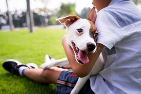 Vandalia apartment for rent - a man and his dog sitting on the grass