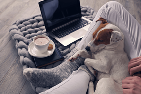 Gobles apartment for rent - a dog laying next to a person on a bed with a laptop