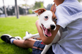 Bidwell apartment for rent - a man and his dog sitting on the grass