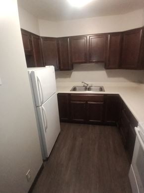 Taylorville apartment for rent - an empty kitchen with a refrigerator and a sink