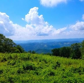 Terra Alta apartment for rent - A lush green landscape with a view of the mountains in the distance.