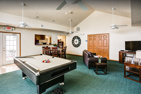 Greenville apartment for rent - a game room with a pool table and a tv