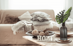 Jamestown apartment for rent - a coffee table with a plate of cookies and a vase with a plant