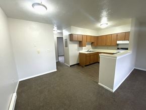 Maroa apartment for rent - an empty living room and kitchen in an empty apartment