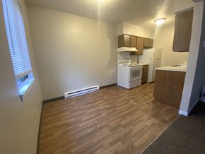 Moweaqua apartment for rent - an empty room with a kitchen and a wooden floor