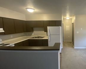 Moweaqua apartment for rent - an empty kitchen with a refrigerator and a sink