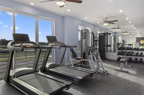 Ashburn apartment for rent - the gym is equipped with cardio equipment and weights