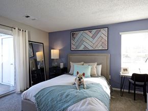 Lawrenceville apartment for rent - A dog is sitting on a bed in a bedroom.