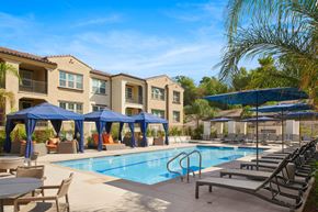 Riverside apartment for rent - A swimming pool area with lounge chairs and umbrellas in front of apartment buildings.