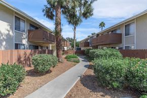 Oceanside apartment for rent - A pathway leads through a landscaped courtyard with a tree and shrubs.