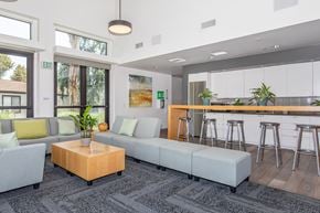 Riverside apartment for rent - A modern living room with a grey couch, a wooden coffee table, and a bar area with stools.