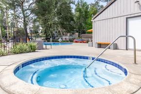 Riverside apartment for rent - A small round pool with a ladder.