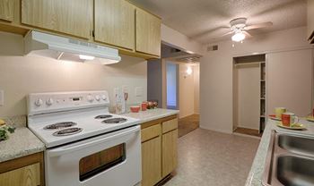 Ceiling fans