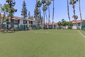 Redlands apartment for rent - A soccer field in front of apartment buildings with palm trees.