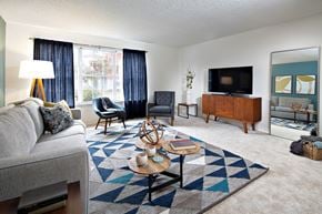 Lawrenceville apartment for rent - A living room with a grey couch, a coffee table, a TV, and a rug.