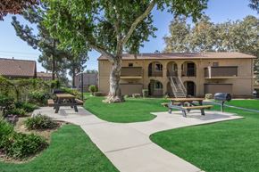Visalia apartment for rent - A large tree in a grassy area with a building in the background.