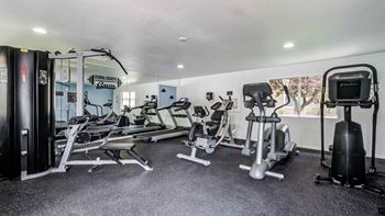 Modern fitness center
