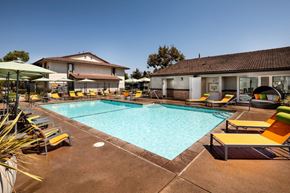 Santa Maria apartment for rent - A large outdoor swimming pool surrounded by sun loungers and umbrellas.