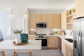 Wesley Chapel apartment for rent - a kitchen with wooden cabinets and stainless steel appliances