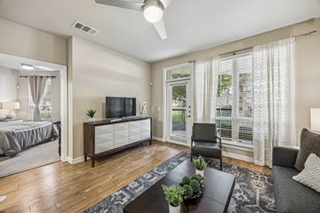San Antonio apartment for rent - A living room with a television, a chair, and a table with a plant on it.