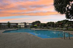 San Marcos apartment for rent - A swimming pool surrounded by trees and chairs with a sunset in the background.