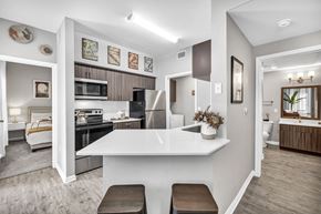 Austin apartment for rent - the enclave at homecoming terra vista kitchen and living room