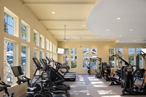 Wesley Chapel apartment for rent - a gym with cardio machines and windows in a building