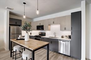 Des Plaines apartment for rent - a kitchen with stainless steel appliances and a wooden table