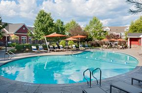 Sharon apartment for rent - Circular pool with lounge seating, umbrellas and trees surrounding