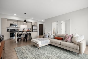 St Paul apartment for rent - A modern living room with a grey sofa and a grey rug.