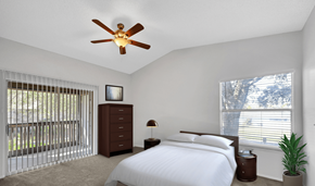 Palm Harbor apartment for rent - Primary Bedroom with Ceiling Fan - virtually staged