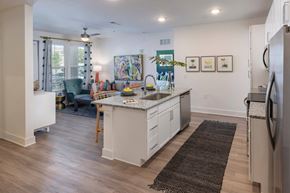 Ponte Vedra apartment for rent - a kitchen with a center island and a living room