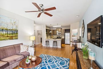 Charlotte apartment for rent - a living room with a couch and a ceiling fan
