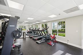 Naples apartment for rent - A spacious gym with a variety of equipment including treadmills, weights, and exercise machines.