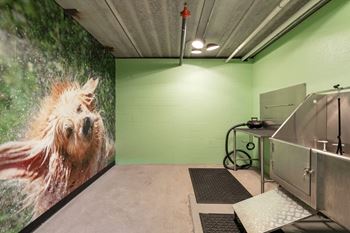 Pet spa