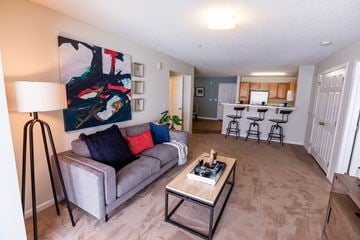 Lynchburg apartment for rent - A grey couch with red and blue pillows sits in a living room with a painting on the wall.