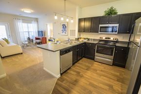 Spartanburg apartment for rent - A modern kitchen with black cabinets and stainless steel appliances.