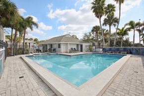 Tampa apartment for rent - A pool surrounded by palm trees and a white building.