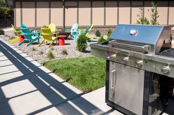 Picnic and bbq area