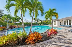 Fort Myers apartment for rent - A pool surrounded by palm trees and plants.