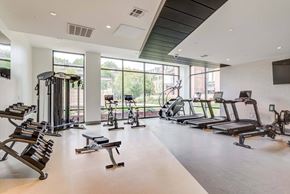 Cambridge apartment for rent - A gym with treadmills, elliptical machines, and other exercise equipment.