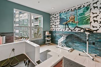 Pet spa with wash and drying stations