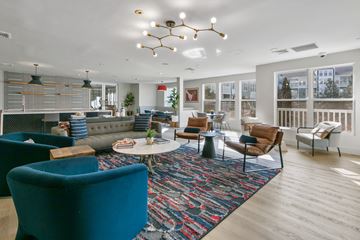 Laurel apartment for rent - a living room with couches and chairs and a large rug