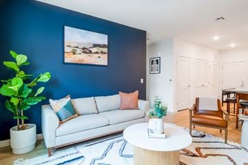 Chelmsford apartment for rent - A living room with a white couch and a blue wall.