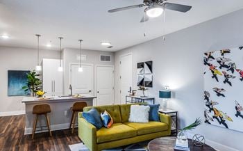 Open-concept layouts