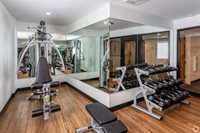 Chaska apartment for rent - a gym with weights and mirrors and a wood floor