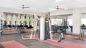 San Antonio apartment for rent - Fitness center with weight machines